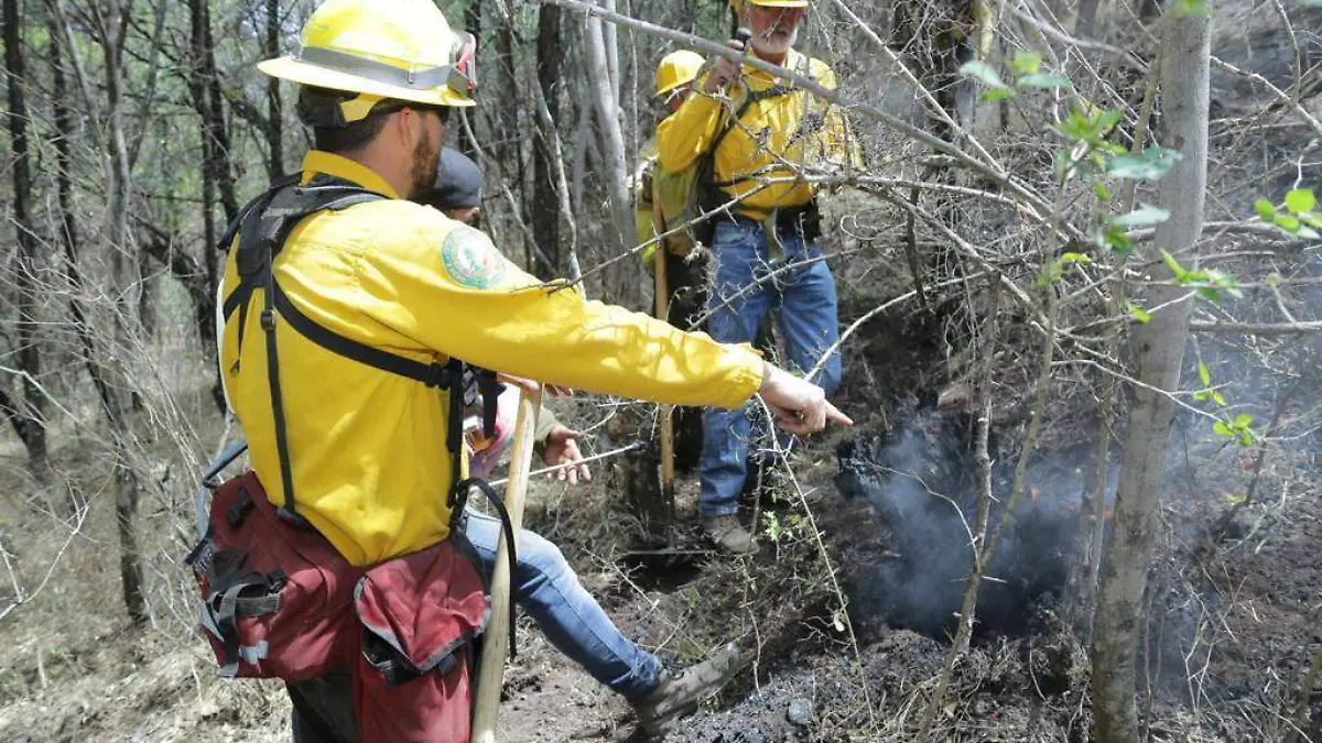 1304 INCENDIOS_CORTESIA COFOM (8)